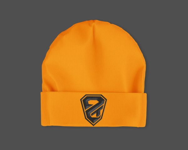 2 Talented 3D Embroidered Beanie