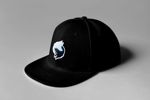 Rogue Gaming Embroidered Snapback - Image 2