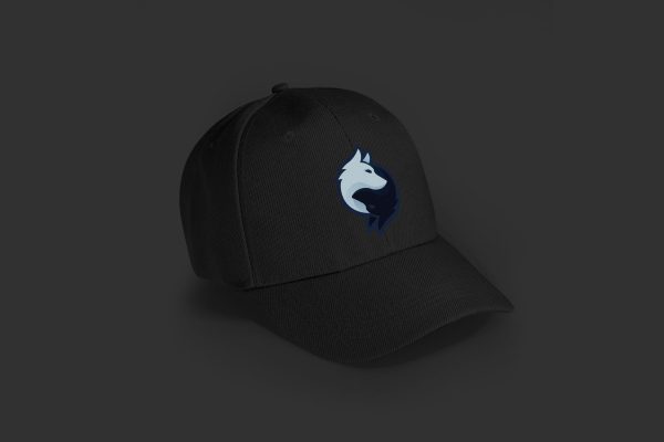 Rogue Gaming Embroidered Baseball Caps - Image 17