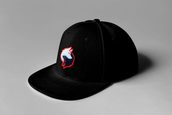 Rogue Gaming Embroidered Snapback - Image 16