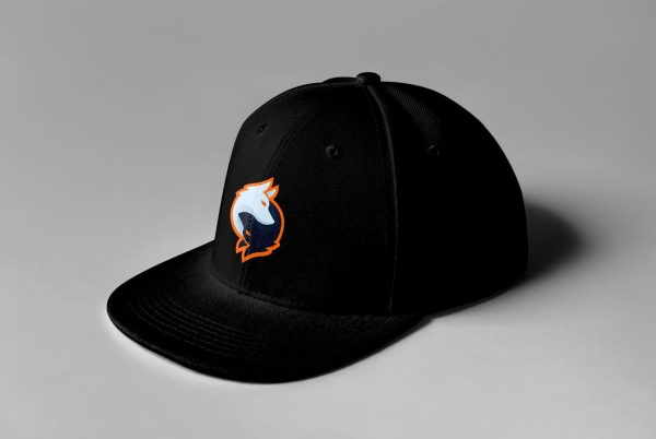 Rogue Gaming Embroidered Snapback - Image 15