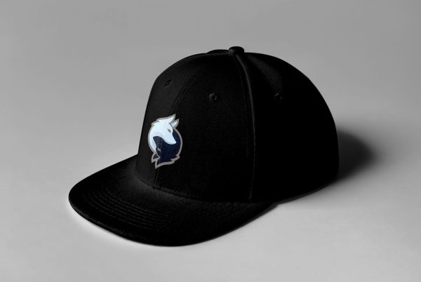 Rogue Gaming Embroidered Snapback - Image 14