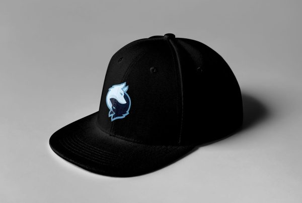 Rogue Gaming Embroidered Snapback - Image 13