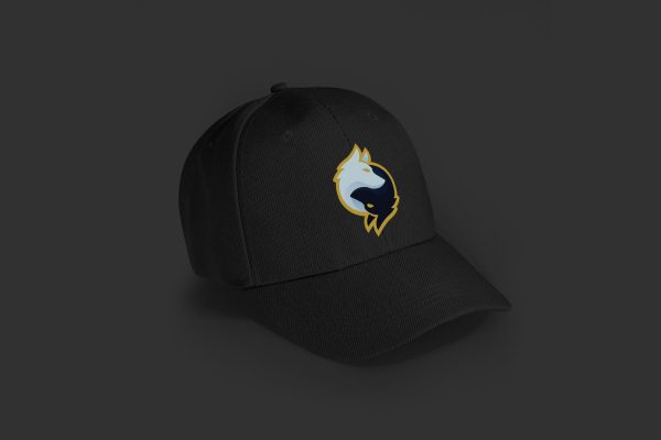Rogue Gaming Embroidered Baseball Caps - Image 12