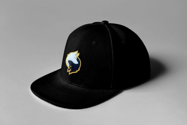 Rogue Gaming Embroidered Snapback - Image 12