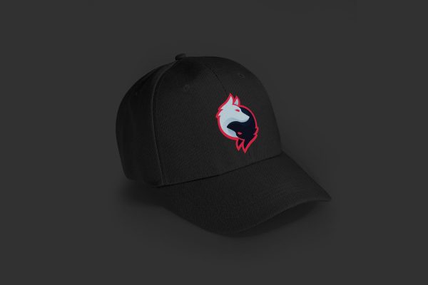 Rogue Gaming Embroidered Baseball Caps - Image 11