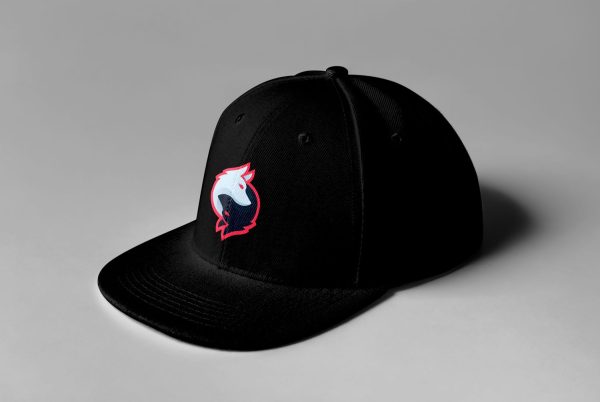 Rogue Gaming Embroidered Snapback - Image 11