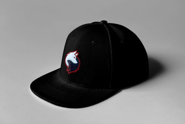 Rogue Gaming Embroidered Snapback - Image 10