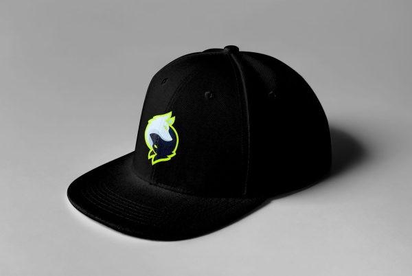 Rogue Gaming Embroidered Snapback - Image 8