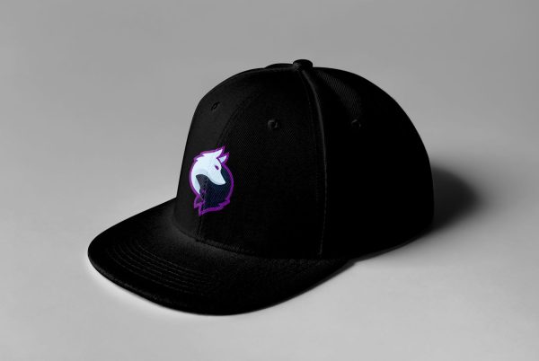 Rogue Gaming Embroidered Snapback - Image 6
