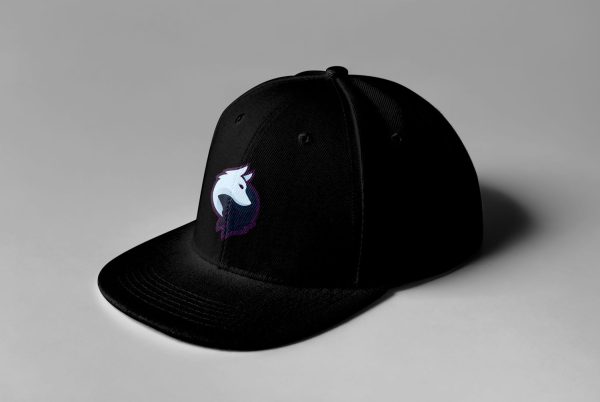 Rogue Gaming Embroidered Snapback - Image 5