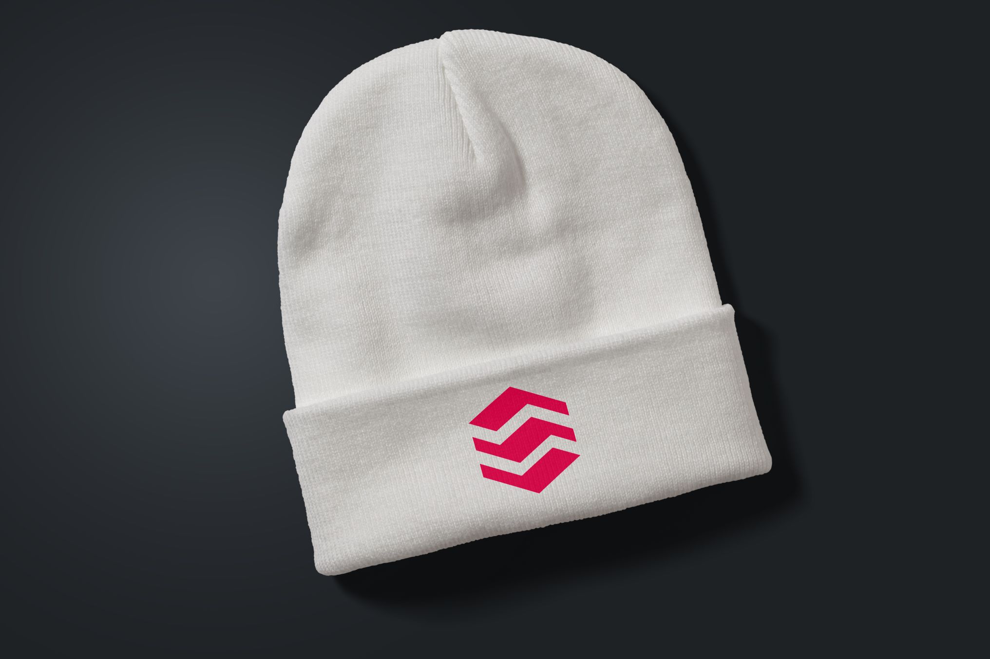 RSC EU - Beanie