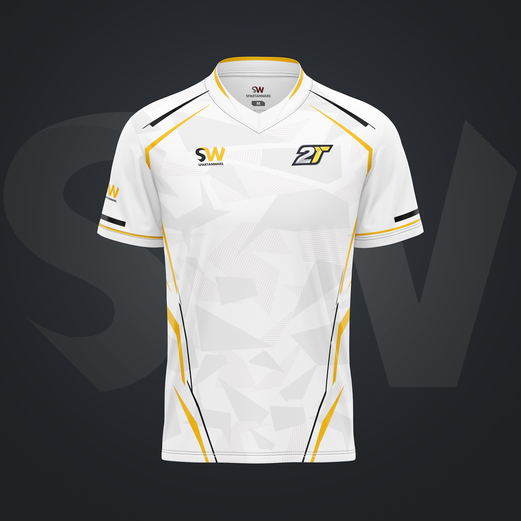 2 Talented Champions - Elite Double V Jersey